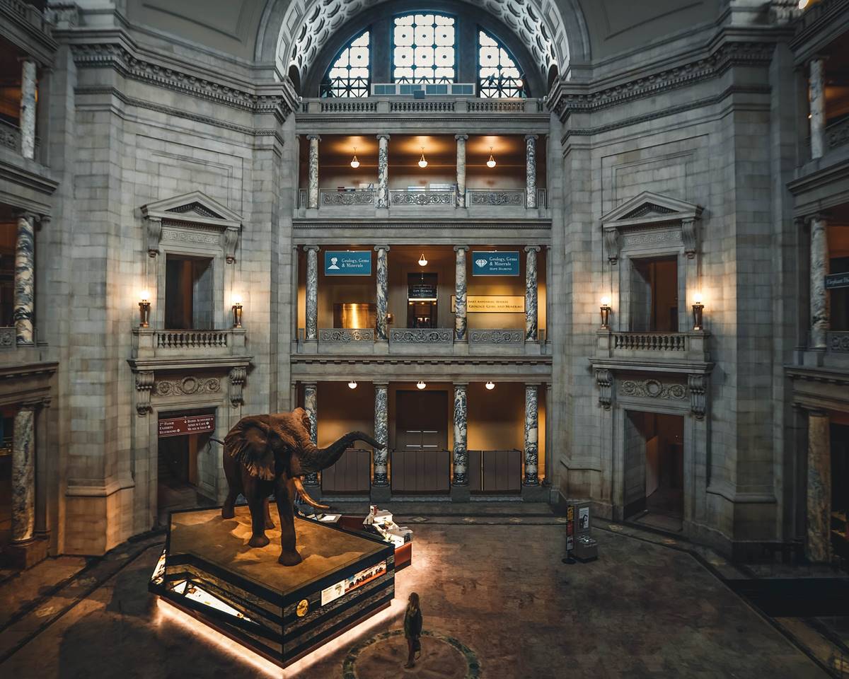 The National Museum of Natural History, highlighting its exhibition and iconic architecture.
